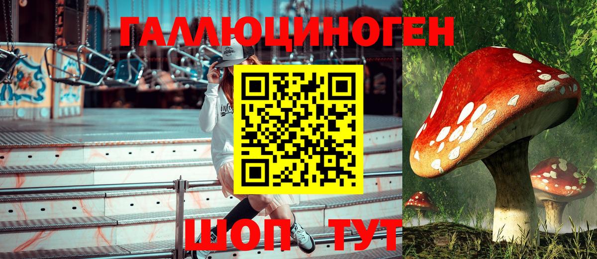 Псилоцибиновые грибы MAGIC MUSHROOMS Моздок