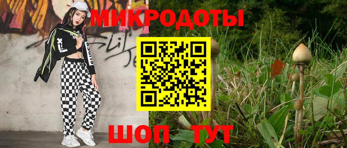 Моздок  Псилоцибиновые грибы Psilocybe  Вход с VPN 